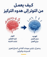 L-Theanine